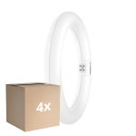 Confezione Multipack 4x Osram Tubo LED T9 Circolare (EM/Mains) 11W 1320lm - 840 Bianco Freddo | Sostitutiva 22W